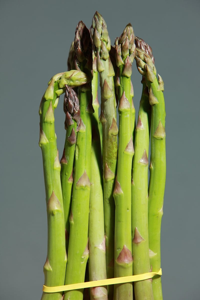 Healthy Salad